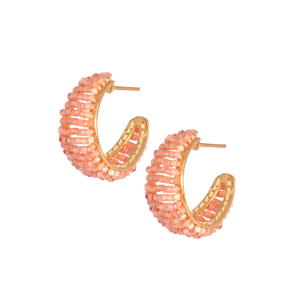 Aretes Cake Salmon